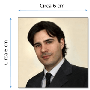 Esempio di foto corretta per il curriculum vitae: una foto delle dimensioni di una fototessera, con sfondo neutro, abito professionale e tutto sotto controllo!