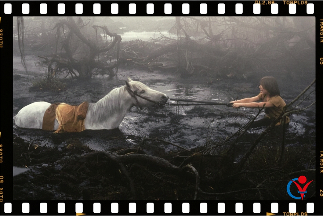 L'iconica immagine di Artax nella Palude della Tristezza, tratta dal film "La Storia Infinita", usata come potente metafora della disperazione e della sensazione di essere bloccati nelle sabbie mobili del lavoro precario, trovare stabilità lavorativa e come costruire una carriera